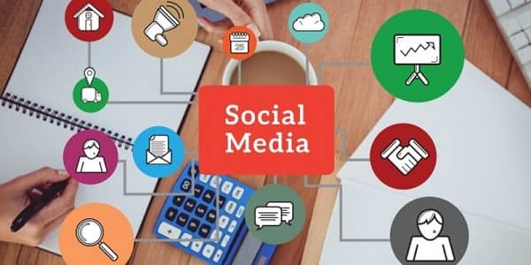 Social Media Management for Local Businesses